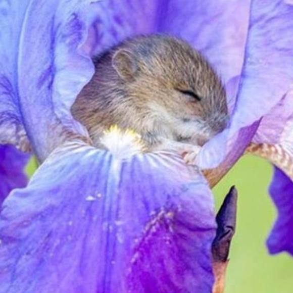 Meet your Posher, Maureen - Picture 1 of 1